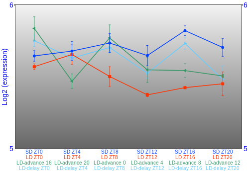Expression graph