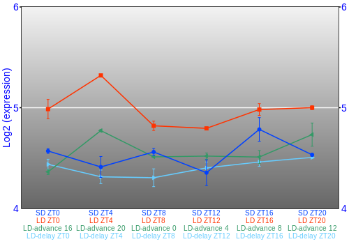 Expression graph