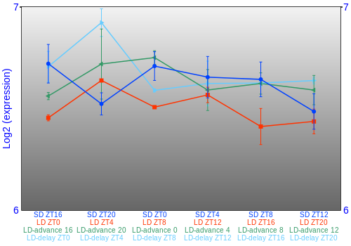 Expression graph