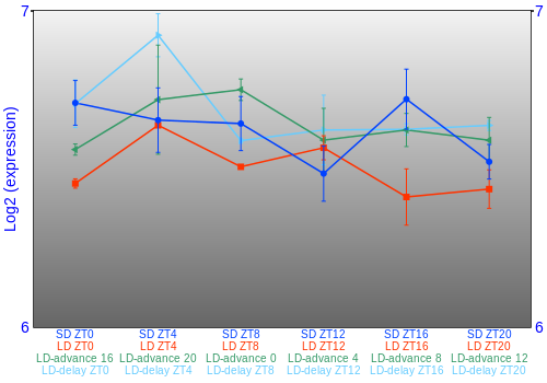 Expression graph