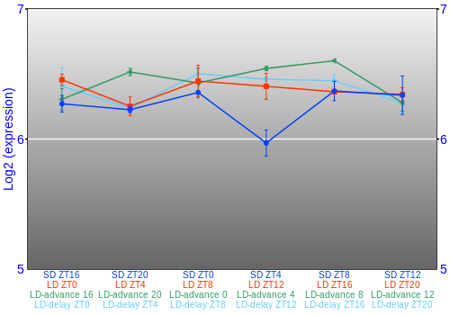 Expression graph