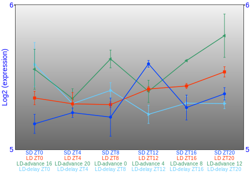 Expression graph