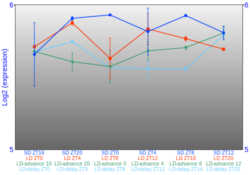Expression graph