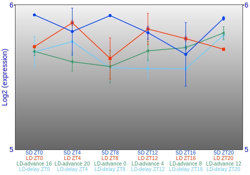 Expression graph
