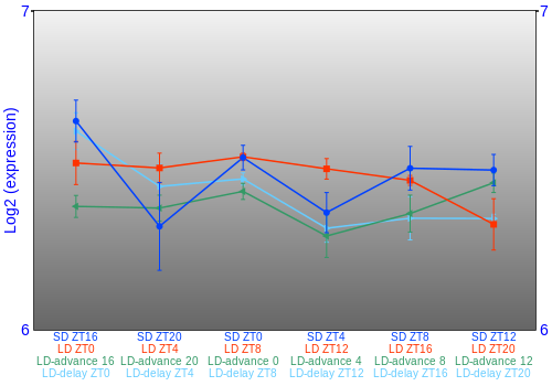 Expression graph