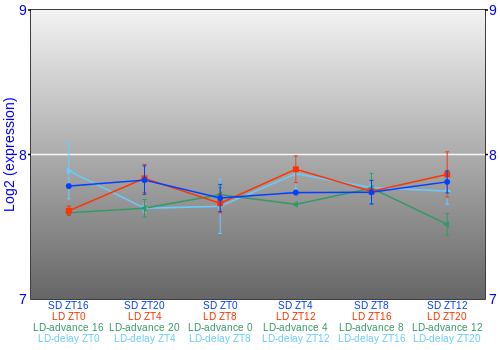 Expression graph