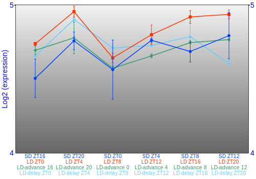 Expression graph