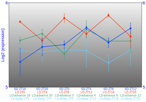 Expression graph