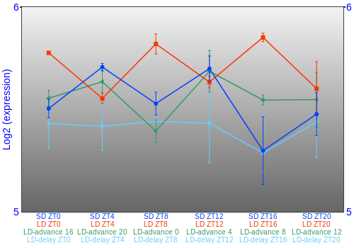 Expression graph