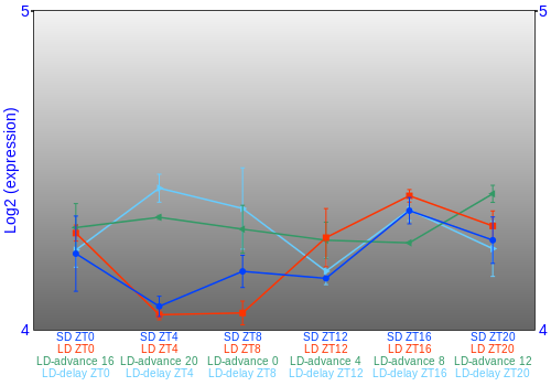 Expression graph