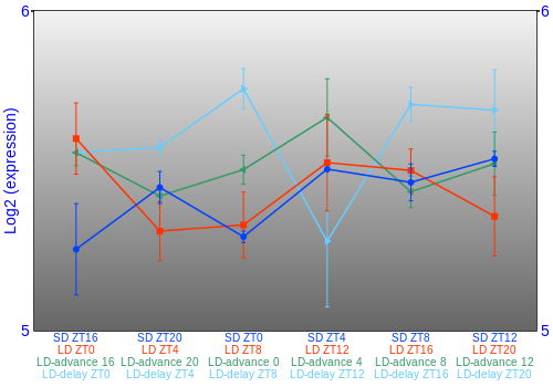 Expression graph