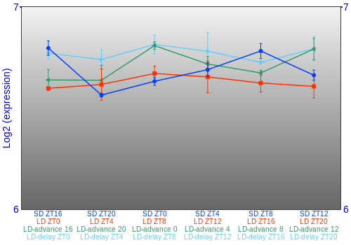 Expression graph