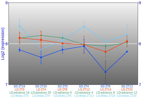 Expression graph