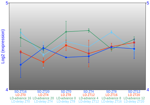 Expression graph
