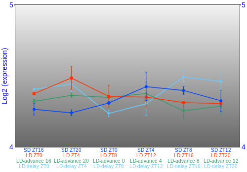 Expression graph
