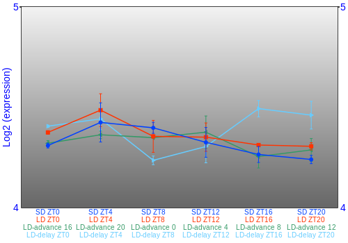 Expression graph
