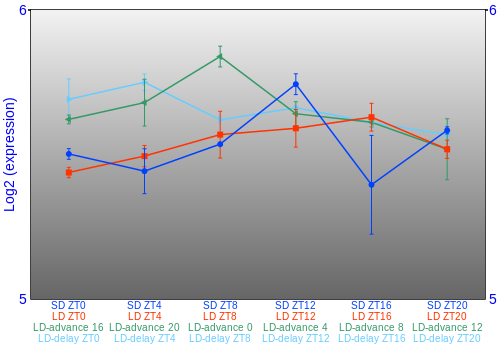 Expression graph