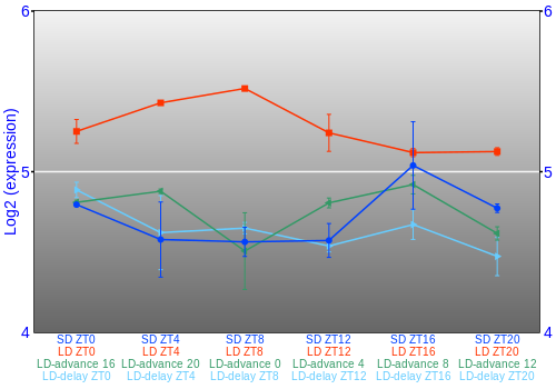 Expression graph