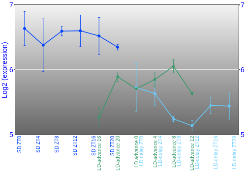 Expression graph