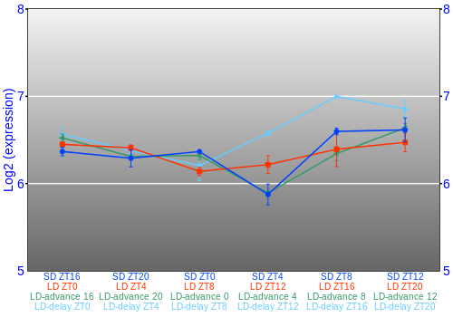 Expression graph