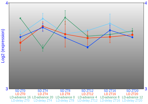 Expression graph