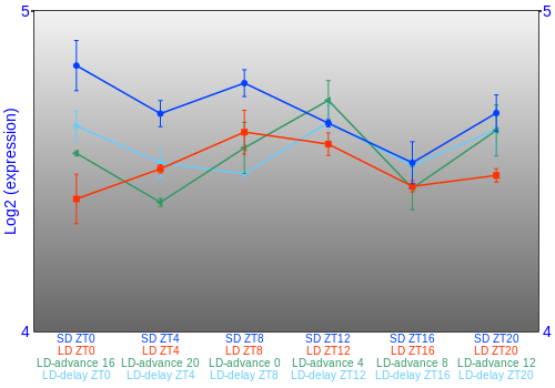 Expression graph