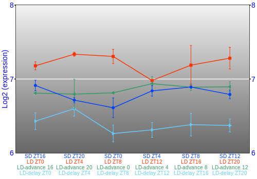 Expression graph