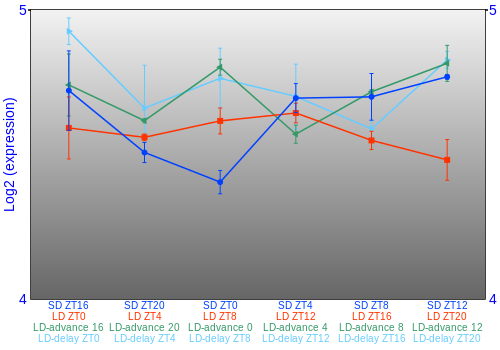 Expression graph