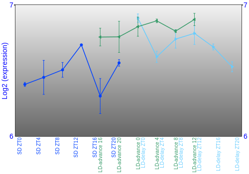 Expression graph