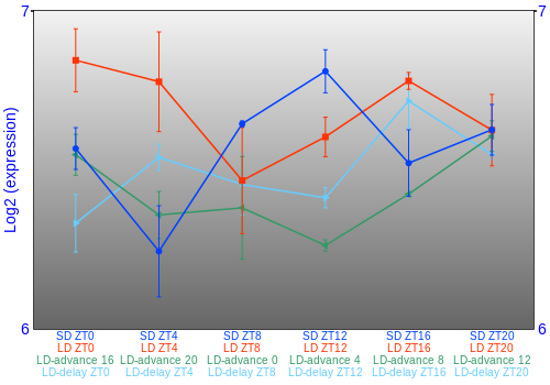 Expression graph