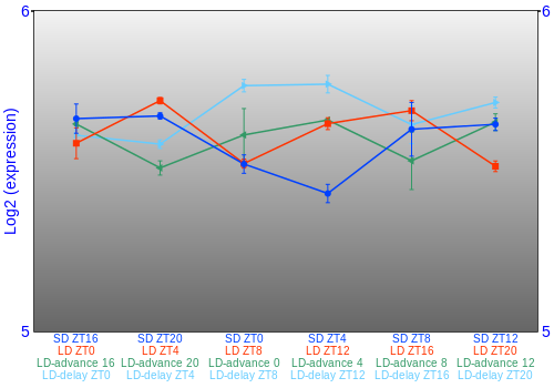Expression graph