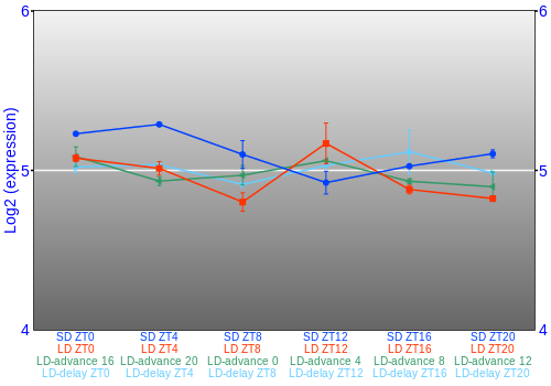 Expression graph