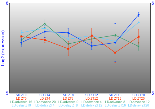 Expression graph