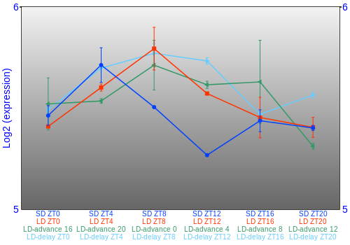 Expression graph