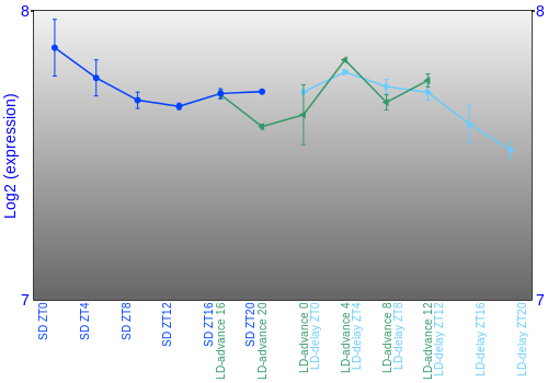 Expression graph