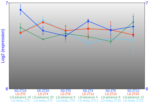 Expression graph
