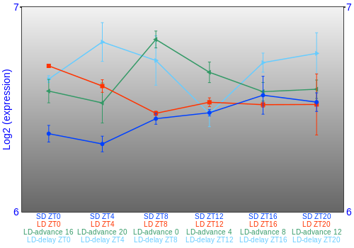 Expression graph