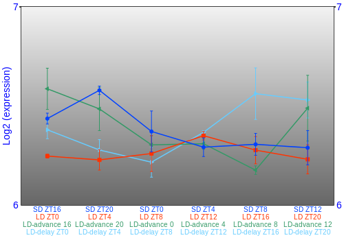 Expression graph
