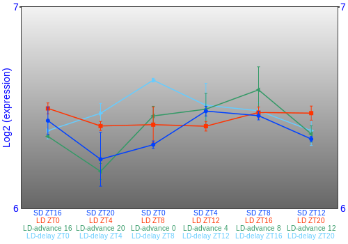 Expression graph