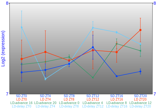 Expression graph