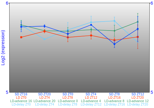 Expression graph