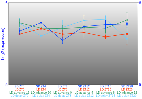Expression graph