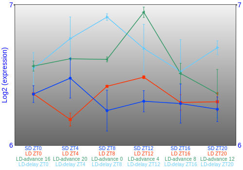 Expression graph