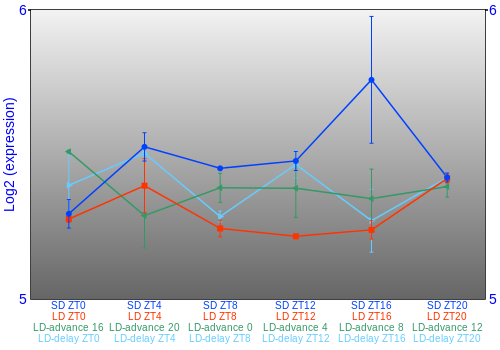 Expression graph