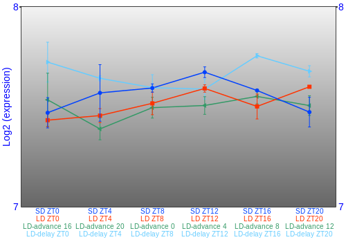 Expression graph