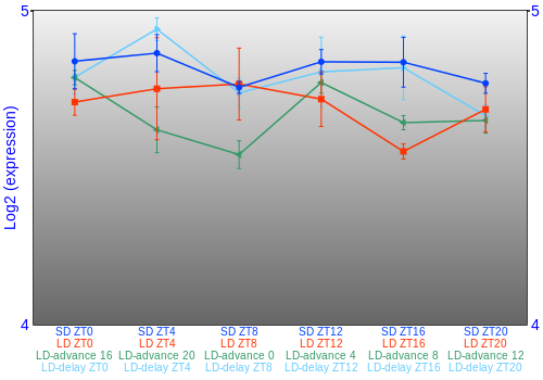 Expression graph