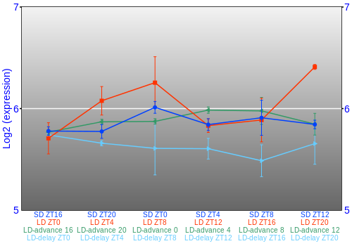 Expression graph