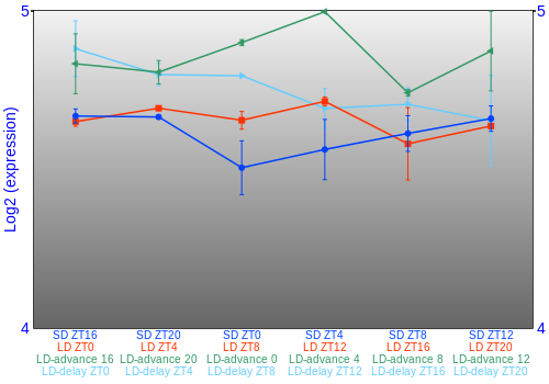 Expression graph