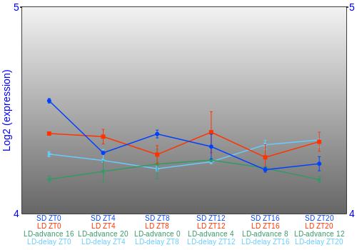 Expression graph