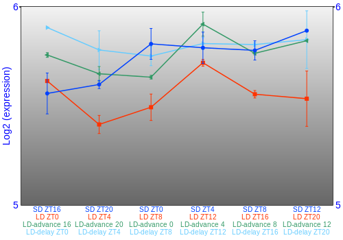 Expression graph